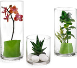 Glass Cylinder Vases collection - G & J Florist